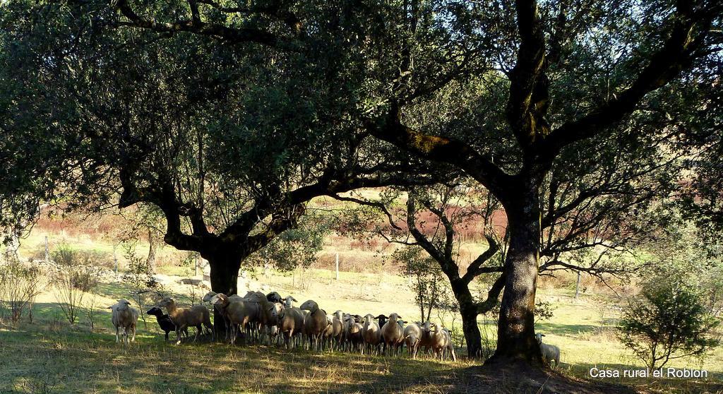 Casa Rural El Roblon Sartajada Eksteriør bilde